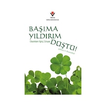Başıma Yıldırım Düştü! - Jeffrey S. Rosenthal - Tübitak Yayınları