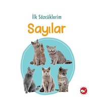 İlk Sözcüklerim - Sayılar- Beyaz Balina Yayınları