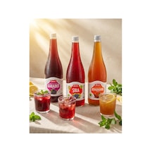 Doğal Karadut Şerbeti 1 Litre& Doğal Üzüm Şırası 1 Litre & Doğal Demirhindi Şerbeti 1 Litre 3'lü Set