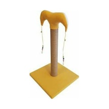 Bedspet İnce Kedi Tırmalama Tahtası 50 CM
