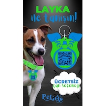 Petjoo 22.Layka Mavi-Yeşil Qr'lı Köpek Künyesi