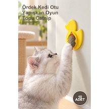 10 Adet Ördek Kedi Otu Yapışkan Oyun Topu Catnip