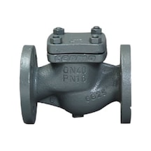 Termo Yaylı Çekvalf, Pn 16 Gg25, Flanşlı