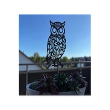 Saksı Çiçek Toprak Bitki Süsü Baykuş Figürü