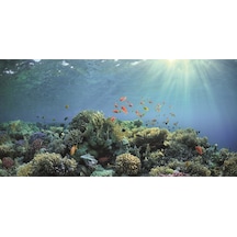Kanki Pet Kp10552030 Akvaryum Arka Fon Yapıştırma 105 X 52 Cm