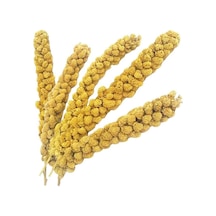 Kuşlar İçin Ak Dal Darı 500 G