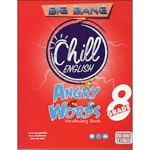 Newton 8. Sınıf Big Bang Angry Words Kelime Kitabı