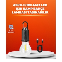 Zenvia Dış Mekan Kullanımına Uygun Led Lamba Znv2026 Çok Renkli