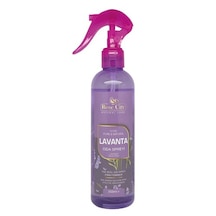 Lavanta