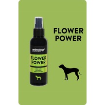 Flower Power Fragrance Mist Kedi Köpek Parfümü 150 Ml - Çiçeksi Notalı Unisex Vegan