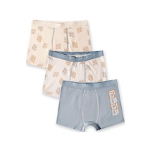 U.S. Polo Assn. Erkek Çocuk Krem İç Giyim 5274-49093 Bej-soft Yeşil