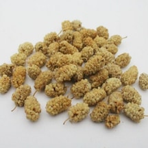 Kayısı Yurdu Malatya Pütürge Dut Kurusu 500 G