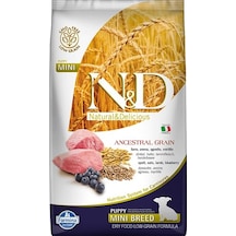 N&D Puppy Kuzu Etli ve Yaban Mersinli Düşük Tahıllı Küçük Irk Yavru Köpek Maması 2.5 KG
