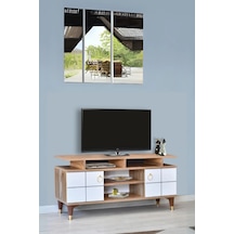 Atlantik Çam - Beyaz