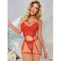 Mr Owl Kadın Kırmızı Dantel Transparan 4 Parça Jartiyer Bodysuit Takımı