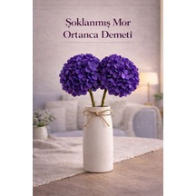 Diğer