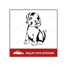 Tatlı Köpek Sticker Köpek Oto Sticker Dog Car Sticker