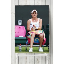 Agnieszka Radwanska Posteri 2