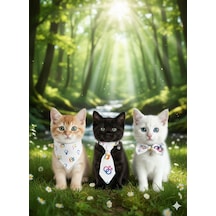 Flypet Karışık Desen Kedi Tasma Seti & Yavru Köpek Tasma Seti 13cm-24cm Ayarlanabilir Tasma