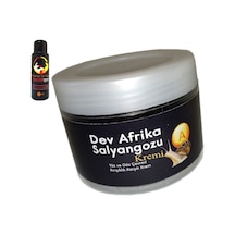 Giant Afrikasalyangozu Dev Salyangozyaşlanma Karşıtı 100ml + L.kamasutra Bayan Memeşekillendirici Krem 60 Ml