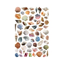 65 Adet Deniz Kabuğu İstridye Aqua Sualtı Sticker Seti - Etiket Seti Scrapbook Bullet Journal Çok Renkli
