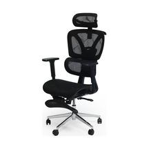 Flow Ergonomik Çalışma Koltuğu, Mesh Sırtlık, Başlıklı Diğer