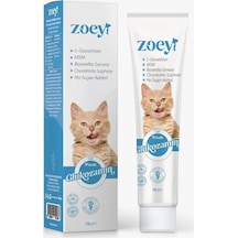 Zoey Glukozamin Paste Kediler İçin Eklem Sağlığını Desteleyen Malt 100 G