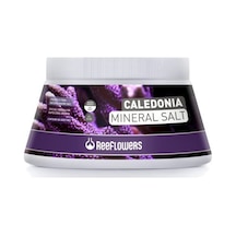 Reeflowers Caledonia Mineral Salt 5500 ML