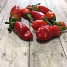 Jigsaw Pepper Tohumu 15 Tohum 1 Paket