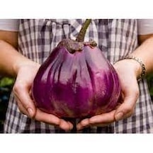 10 Adet Tohum Nadir Mor Tropikal Hanım Çantası Patlıcan Tohumu
