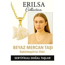 Çok Renkli