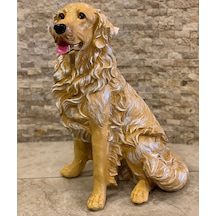 By Ari Golden Köpek Bahçe Dekoru Bd318-3 Diğer