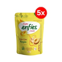 Yayla Freeze Dried Çıtır Çıtır Kayısı 20 Gr X 5 Adet 20 ML