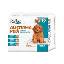 Köpek Alıştırma Pedi