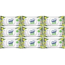 Solo Islak Havlu Mendil 50yaprak Limon & Biberiye 9lu 450yaprak 9'lu Set
