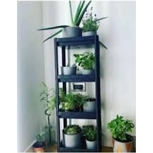 Shelf Unit Raf Ünitesi Diğer