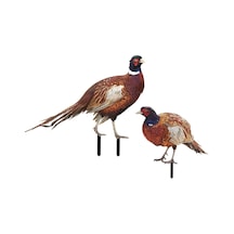 Suntek Sülün Heykelcik Hediyeler Çiftlik Veranda Açık Ab