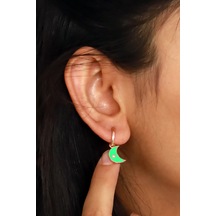 Hilal Tasarım Kadın Gümüş Küpe - Rose N11.59597