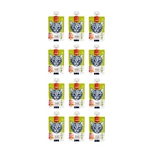 Wanpy Ton Balıklı Tavuklu Ve Havuçlu Ezme Kedi Ödül Maması 90gr X 12 Adet