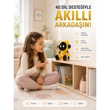 Yapay Zeka Çocuk Robotu Türkçe İngilizce Matematik Fen Ders Desteği Hikaye Ve Şiir Özellikli - Lisinya Standart