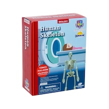 Buğz Bilim Seti : İnsan İskeleti - S00028206 Lacivert - Siyah