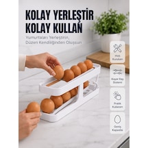 Çok Renkli
