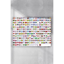Ülke Bayrakları Eğitim Posteri