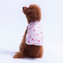 Moyo Pembe Çizgili Kalp Desen Yelek Köpek Yeleği Köpek Kıyafeti Köpek Yağmurluk