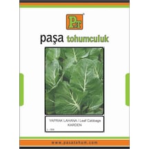 Yaprak Lahana Tohumu Karden 10 Gr