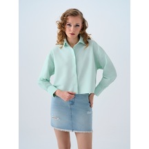 Mint Yeşili