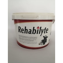 Rehablyte 2.5 Kg