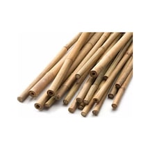Çok Avantajlı Bambu Bitki Destek Çubuğu 60cm 10'lu Set