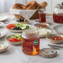 Fanus Organik Süzme Çiçek Balı 225 G