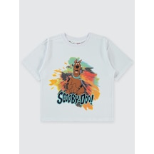 Scooby Doo Erkek Çocuk Tişört 10-13 Yaş Beyaz